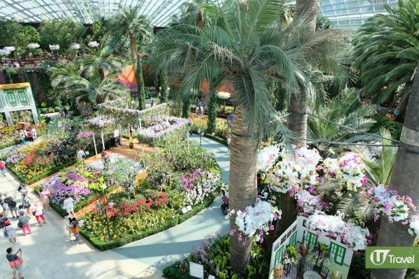 冷室內有不同植物，花穹(Flower Dome)冷室一共9個展區，展示不同國家、品種的植物，更有迷你花海。