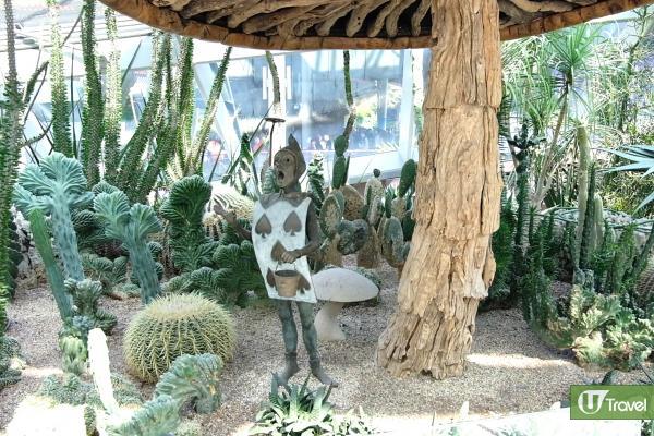 冷室內有不同植物，花穹(Flower Dome)冷室一共9個展區，展示不同國家、品種的植物，更有迷你花海。