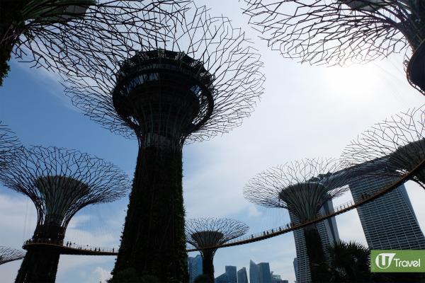 擎天樹叢同樣有高空步道，在22米的高空上觀賞新加坡景色。