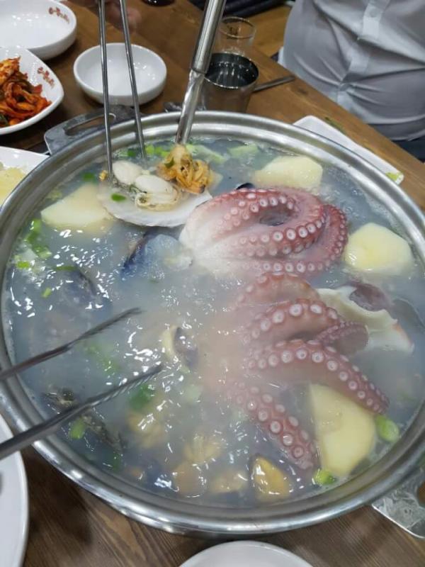 首爾新鮮八爪魚海天湯