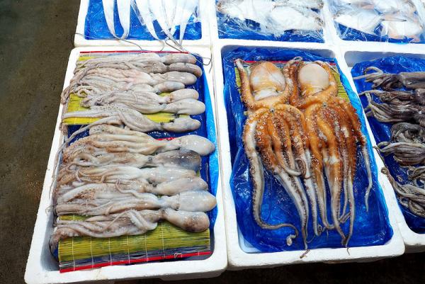 平價地道傳統市場！首爾望遠市場 章魚