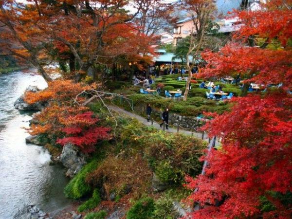 東京10大紅葉景點推薦 御岳溪谷