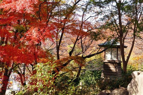 東京10大紅葉景點推薦 飛鳥山公園