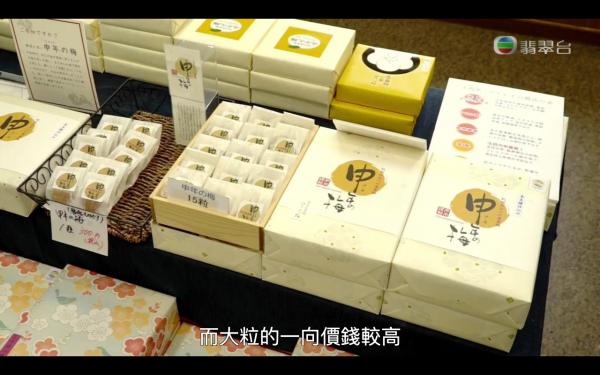 《森美旅行團2》第五集行程整理 和歌山溫泉旅館+溫泉蛋+摘梅體驗