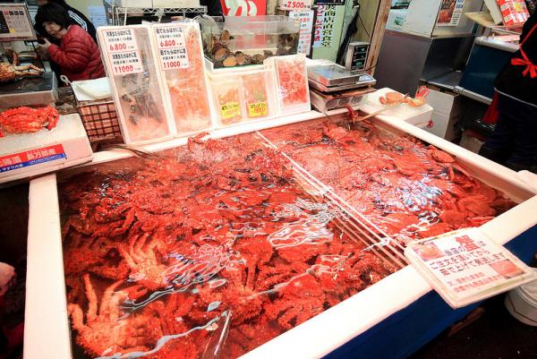 松葉蟹、鱈場蟹、毛蟹、花咲蟹並稱北海道四大名蟹，前三種大家應該比較常見到