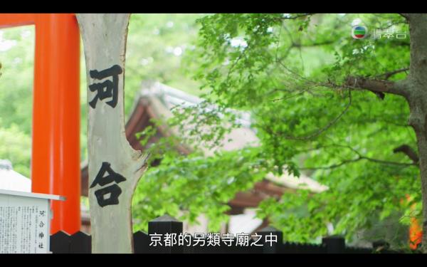 《森美旅行團2》第7集行程整理 京都神社、拉麵/沾麵推薦