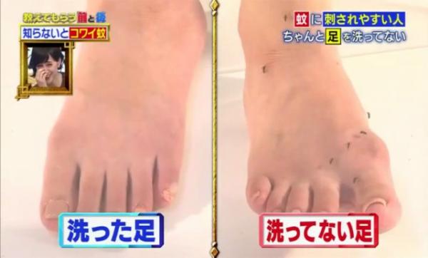 不想被蚊咬就不要穿這圖案！日本專家分析2大惹蚊原因及防蚊方法