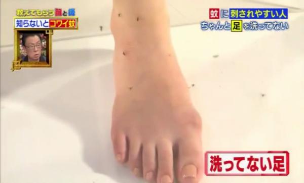 不想被蚊咬就不要穿這圖案！日本專家分析2大惹蚊原因及防蚊方法