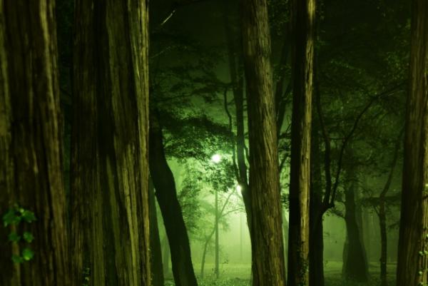 東京4大猛鬼熱門旅遊景點 井之頭公園