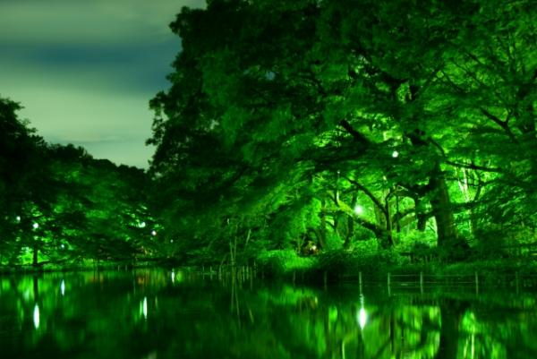 東京4大猛鬼熱門旅遊景點 井之頭公園