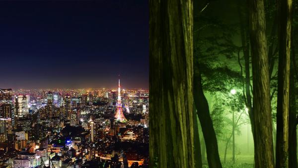 遊日注意！信不信由你！東京4大猛鬼熱門旅遊景點