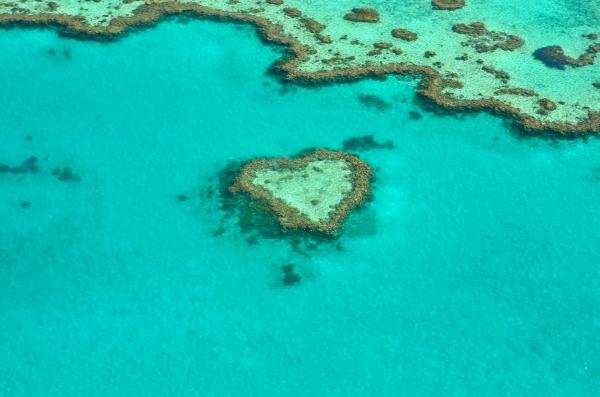 澳洲大堡礁潛水