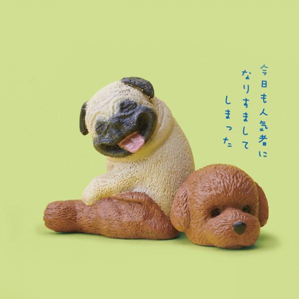 八哥扮貴婦（啡色）