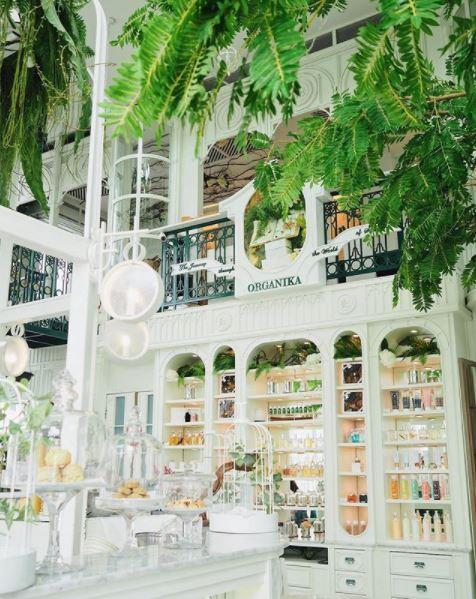 Organika是曼谷的人氣香氛品牌之一，它們家亦在2015年開設了結合自家香氛產品的Spa店。店內有不少綠色擺設，加上十分開揚的落地玻璃的設計，整間店的感覺非常明亮舒服。
