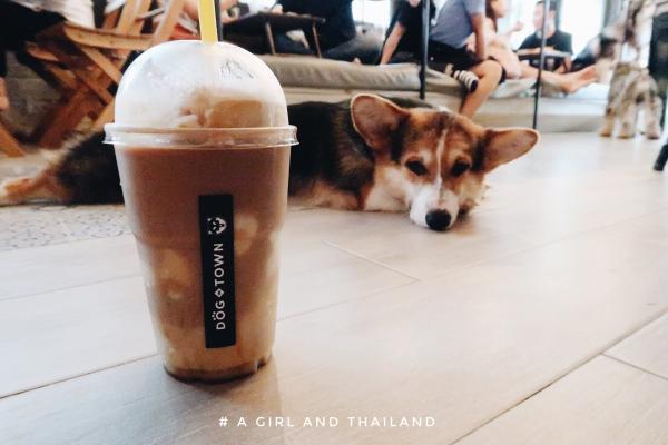近年曼谷有越來越多的動物咖啡店