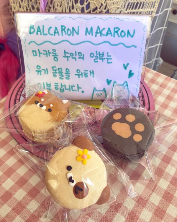 貓貓/肉球/柴犬馬卡龍！首爾超可愛卡通馬卡龍專賣店 BALCARON MACARON 발카롱 마카롱