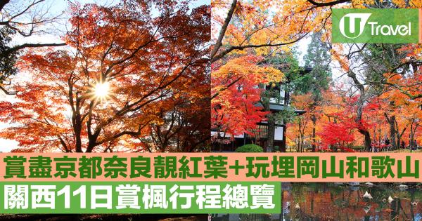 去京都大阪睇紅葉、玩埋岡山和歌山 關西11日賞楓行程總覽