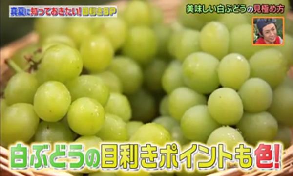 買日本葡萄前必讀秘訣 水果專家教你點揀巨峰/香印提子
