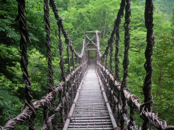 祖谷蔓橋是日本三大奇橋之一，用奇異果的藤蔓建成，每晚7點至9點葛藤橋更會點燈，景色別有另一番風味。