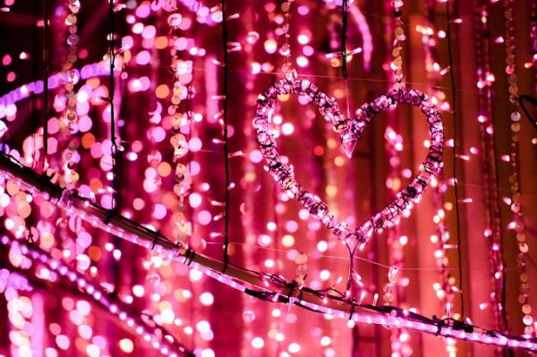 秋冬天最浪漫東京燈飾 新宿燈飾展覽11月開始