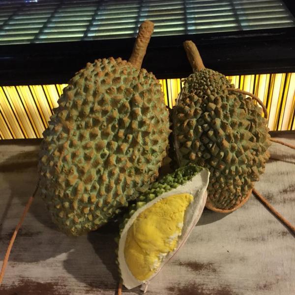 孭住榴槤去旅行！ 以假亂真的泰國水果造型袋