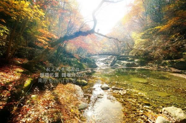 2020韓國紅葉攻略！ 韓國智異山蛇谷登山行程