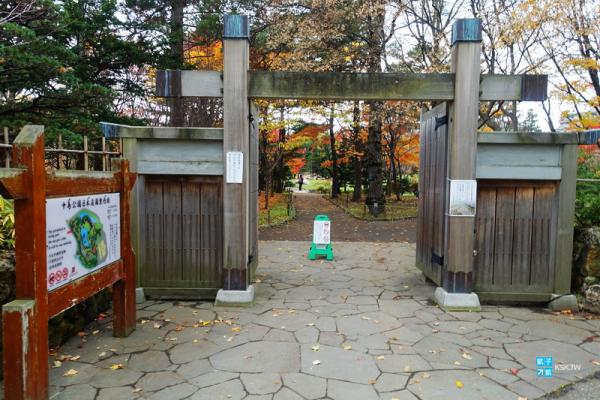 北海道 銀杏 紅葉 中島公園
