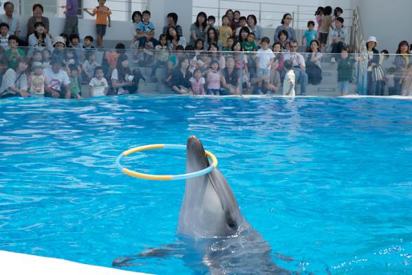 日本 水族館