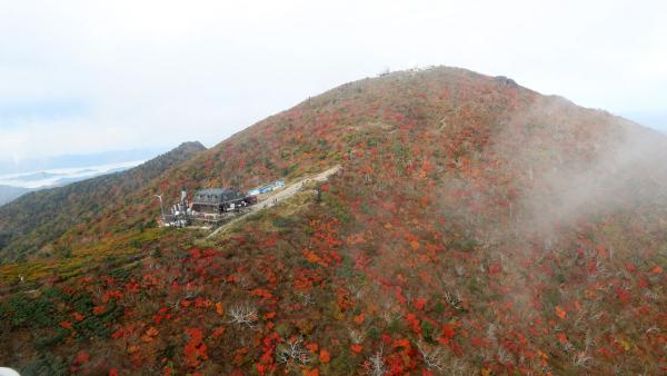 雪嶽山最高峰開始染紅韓國正式踏入紅葉季！