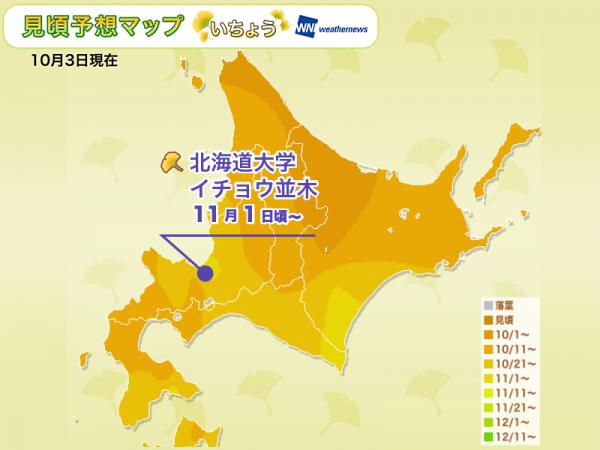 2019 日本紅葉預測 北海道