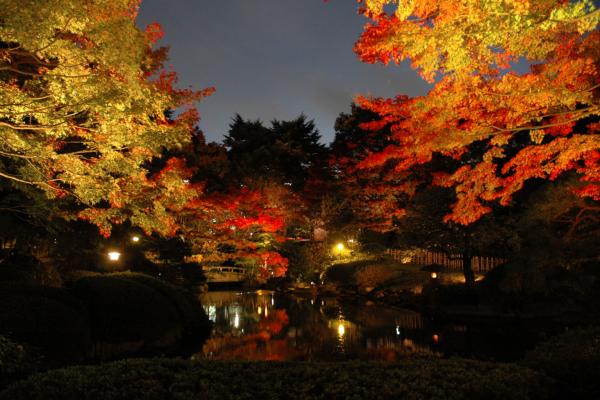 東京5大夜楓景點推薦 東京都庭園美術館