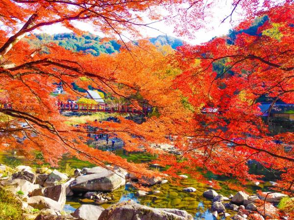 河口湖紅葉迴廊只排第三！ 日本10大紅葉絕景排行榜2018