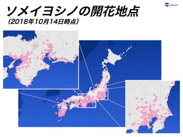 Weathernews公佈的開花情況遍佈北海道至九州