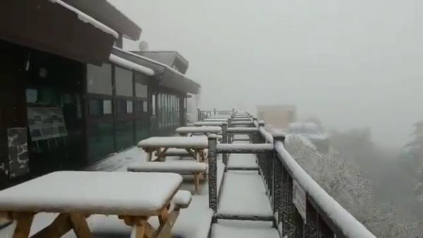 雪嶽山積雪達7厘米 初雪提早16日 賞楓變賞雪！