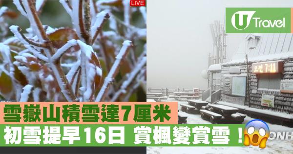 雪嶽山積雪達7厘米 初雪提早16日 賞楓變賞雪！