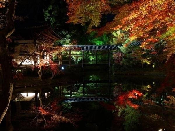 京都6大夜楓景點推介大修中的清水寺以外欣賞紅葉點燈好去處 U Travel 旅遊資訊網站