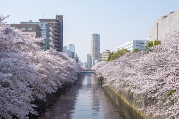 東京天氣 春季 3月 4月 5月 男女服裝穿搭建議