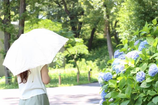 東京天氣 夏季 6月 7月 8月 男女服裝穿搭建議