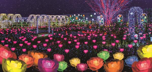 足利花卉公園大型燈飾「光之花庭園」「光之玫瑰園」