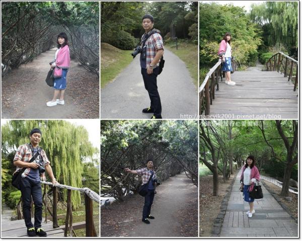 多套韓劇拍攝場地 首爾近郊歐式樹木園