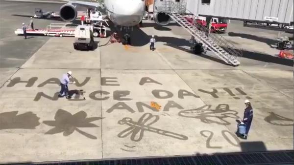 ANA清潔人員於機場塗鴉？ 貼心「服務」感動一眾網民