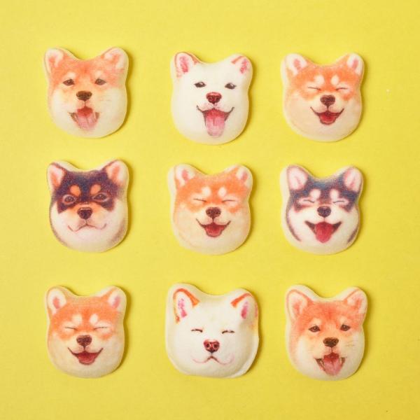 日本推出柴犬造型和風棉花糖！表情多多、可愛到唔捨得食！