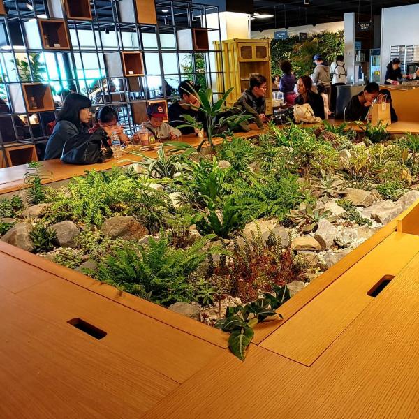 首爾植物園正式開園 城市中的治癒綠色空間！