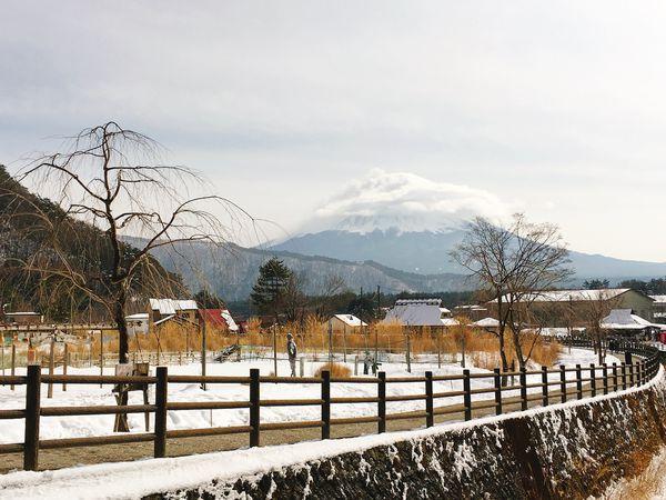 富士山河口湖2日1夜冬季行程懶人包 賞富士山+玩盡周邊景點