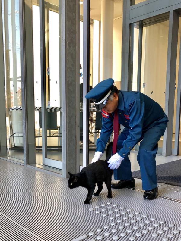 日本貓星人想入美術館看展覽 每日與警衛進行攻防戰網上爆紅