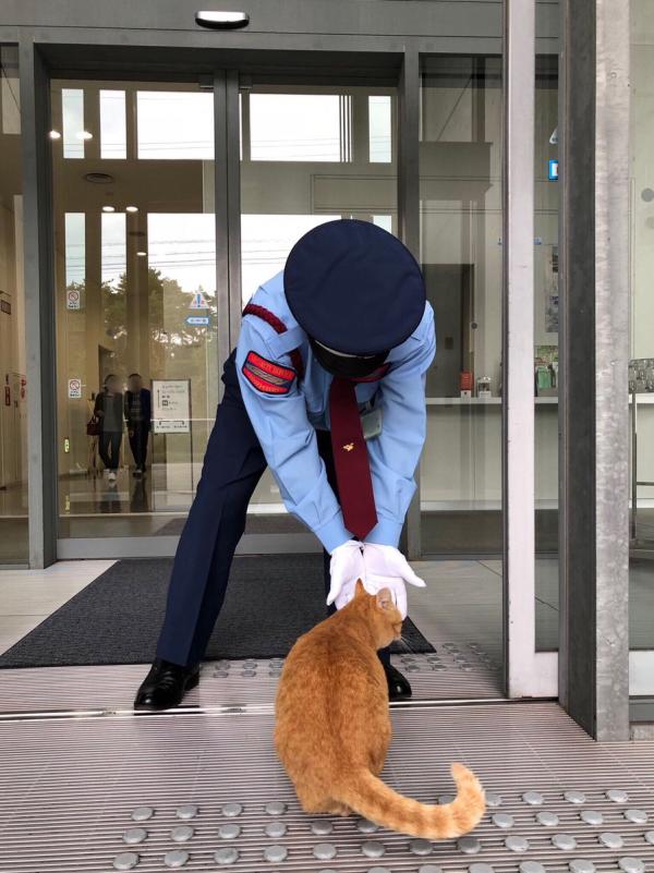 日本貓星人想入美術館看展覽 每日與警衛進行攻防戰網上爆紅 尾道市立美術館 地址