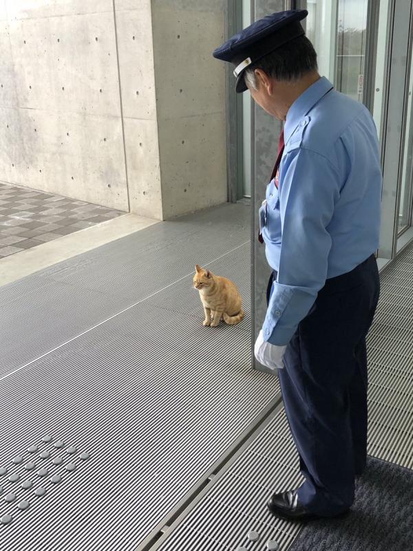 日本貓星人想入美術館看展覽 每日與警衛進行攻防戰網上爆紅 尾道市立美術館 時間