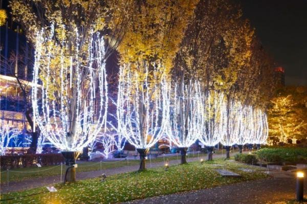 六本木東京Midtown Starlight Garden！19萬顆LED燈海+泡泡燈飾超夢幻！香檳燈飾