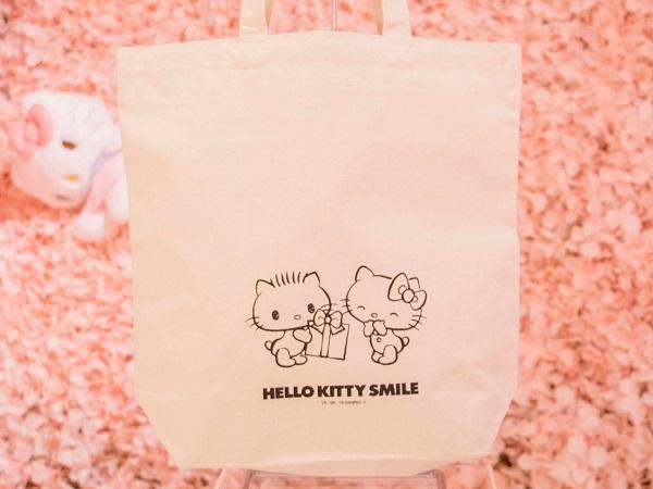 和Hello Kitty一起觀星望海！ 日本開設全球首間Hello Kitty豪華露營住宿