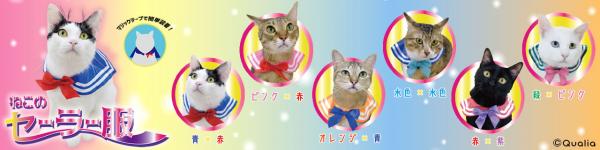 貓星人變身「美少貓戰士」！ 日本推出貓貓專屬「美少女戰士披肩」扭蛋